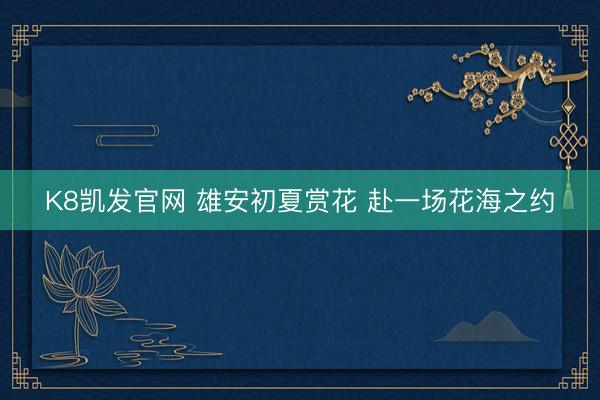 K8凯发官网 雄安初夏赏花 赴一场花海之约