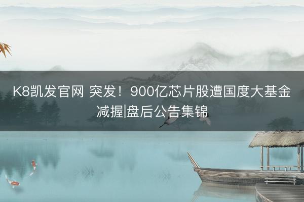 K8凯发官网 突发！900亿芯片股遭国度大基金减握|盘后公告集锦