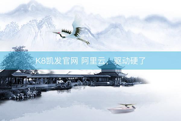 K8凯发官网 阿里云，驱动硬了