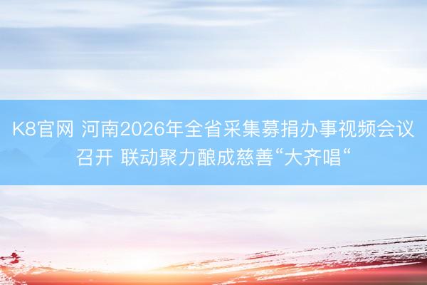 K8官网 河南2026年全省采集募捐办事视频会议召开 联动聚力酿成慈善“大齐唱“