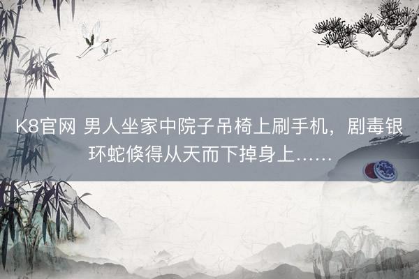 K8官网 男人坐家中院子吊椅上刷手机，剧毒银环蛇倏得从天而下掉身上……