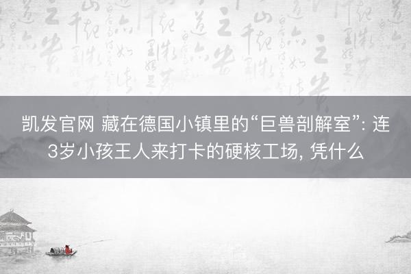 凯发官网 藏在德国小镇里的“巨兽剖解室”: 连3岁小孩王人来打卡的硬核工场, 凭什么