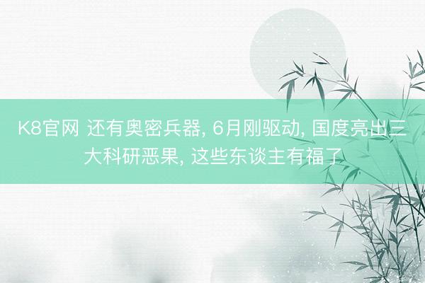 K8官网 还有奥密兵器， 6月刚驱动， 国度亮出三大科研恶果， 这些东谈主有福了