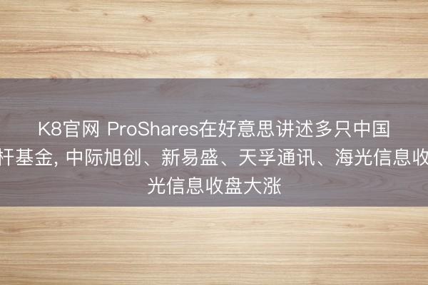 K8官网 ProShares在好意思讲述多只中国AI股杠杆基金， 中际旭创、新易盛、天孚通讯、海光信息收盘大涨