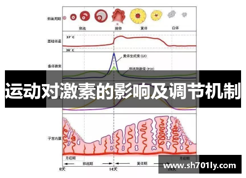 运动对激素的影响及调节机制