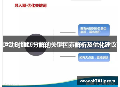 运动时脂肪分解的关键因素解析及优化建议