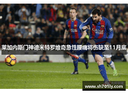 莱加内斯门神德米特罗维奇急性腰痛将伤缺至11月底